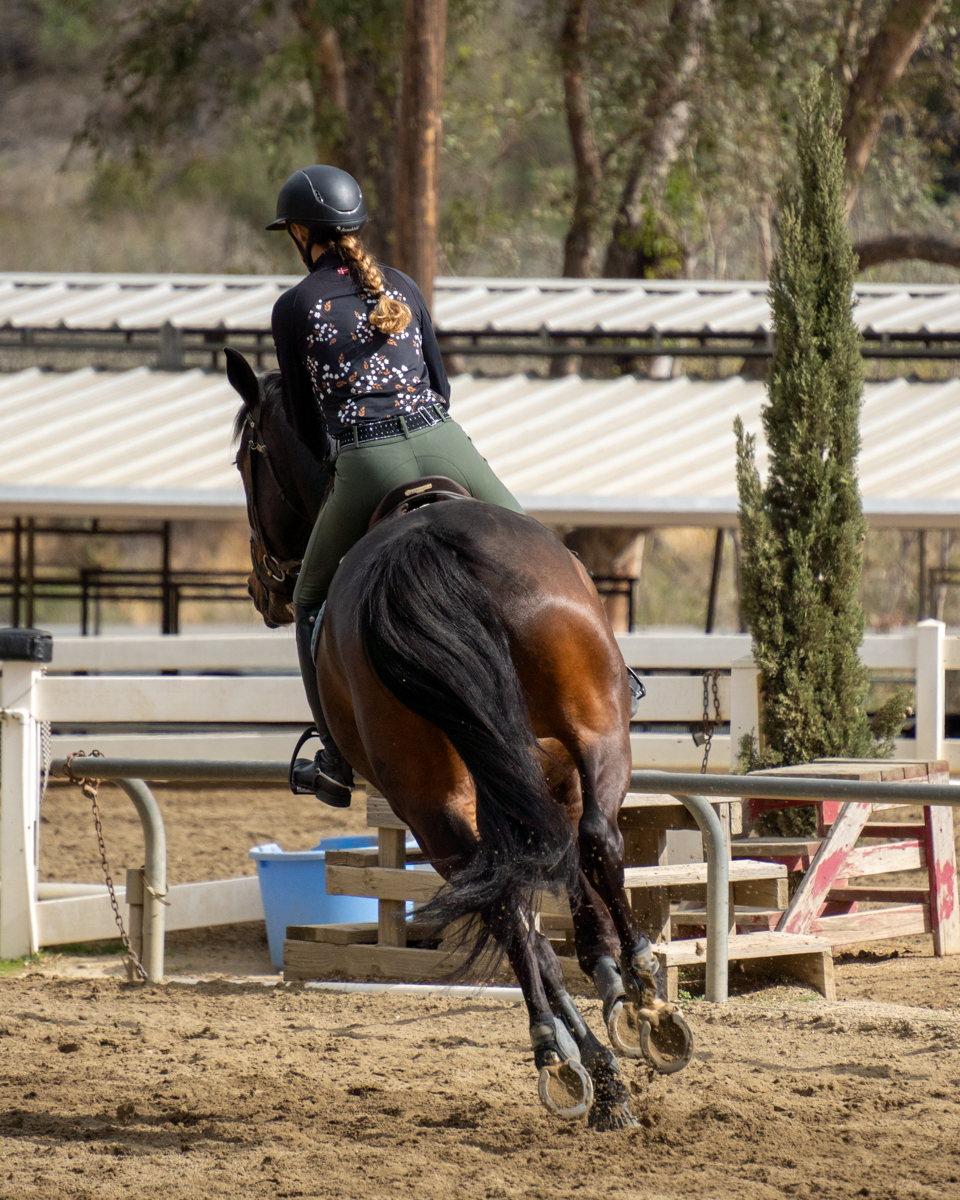 Horseback Riding in the Beautiful Irvine Ranch
