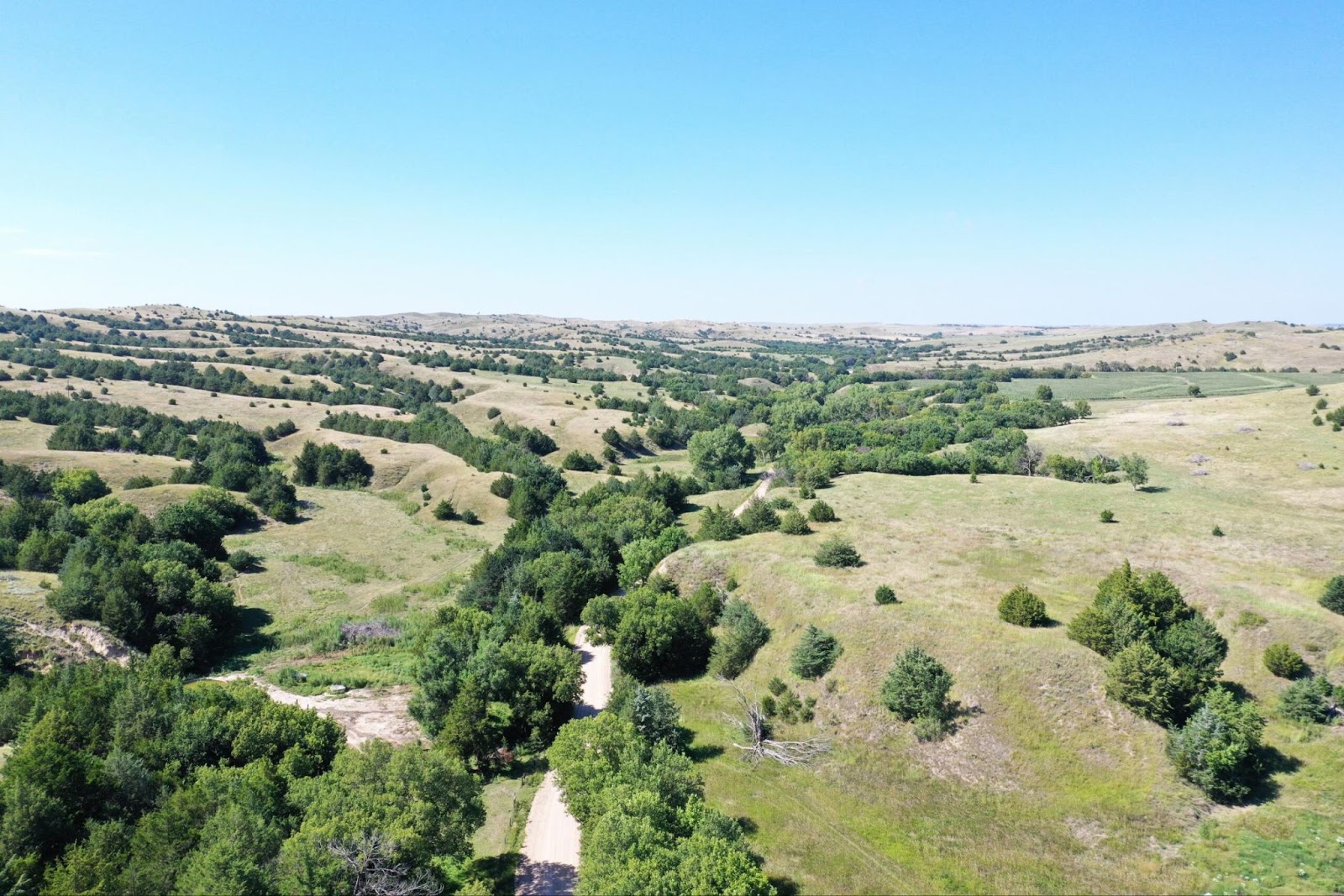 Investing in Land: Unlocking Opportunities for Financial Growth  
