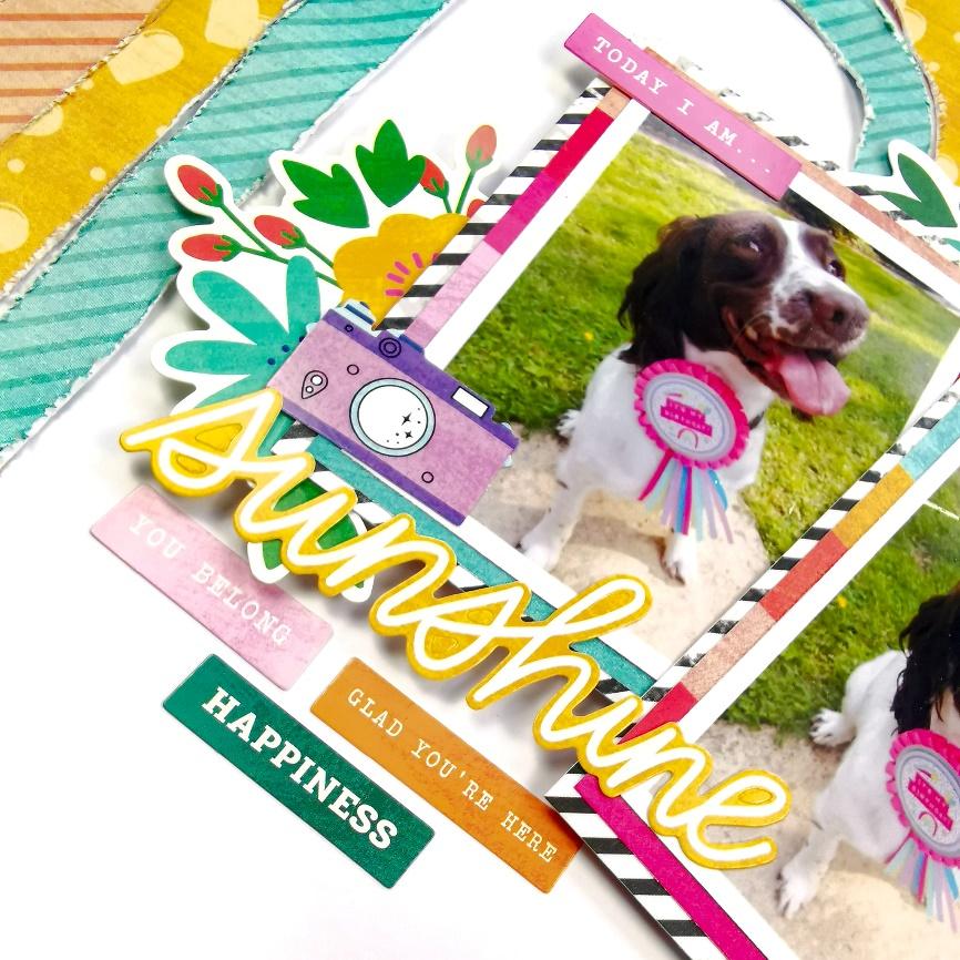 A close up of a dog

Description automatically generated