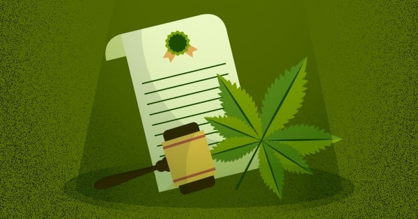 The Legal and Social Debate: The Future of Weed