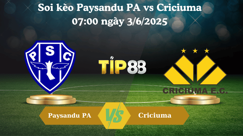 Soi kèo Paysandu PA vs Criciuma  07:00 ngày 3/6/2025