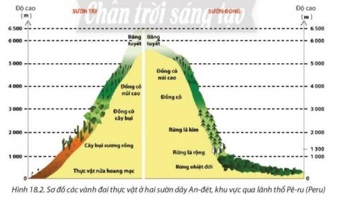 BÀI 18: QUY LUẬT ĐỊA ĐỚI VÀ QUY LUẬT PHI ĐỊA ĐỚII. QUY LUẬT ĐỊA ĐỚI1. Khái niệmCâu 1: Dựa vào thông tin trong bài, em hãy cho biết thế nào là quy luật địa đới.Gợi ý đáp án:  Quy luật địa đới là sự thay đổi có quy luật của tất cả các thành phần tự nhiên và cảnh quan địa lí theo vĩ độ 2. Biểu hiệnCâu 2: Dựa vào thông tin trong bài, em hãy trình bày biểu hiện của quy luật địa đới thông qua sự phân bố của các thành phẩn và cảnh quan địa lí. Cho ví dụ minh họa.Gợi ý đáp án:+ Sự phân bố các vòng đai nhiệt: từ Xích đạo về hai cực gồm vòng đai nóng, hai vòng đai ôn hoà, hai vòng đai lạnh và hai vòng đai băng giá vĩnh cửu.+ Các đai khí áp và các đới gió chính: + Từ Xích đạo về hai cực gồm đai áp thấp xích đạo, hai đai áp cao cận nhiệt đới, hai đai áp thấp ôn đới và hai đai áp cao địa cực. + Mỗi bán cầu, từ Xích đạo về cực đều có đới gió Mậu dịch, đới gió Tây ôn đới và đới gió Đông cực.+ Các đới khí hậu:Từ Xích đạo về hai cực lần lượt có các đới khí hậu xích đạo cận xích đạo, nhiệt đới, cận nhiệt đới, ôn đới, cận cực và cực.+ Các kiểu thảm thực vật: Có 10 kiểu thảm thực vật từ cực đến xích đạo. Có 10 nhóm đất từ cực đến xích đạo.II. QUY LUẬT PHI ĐỊA ĐỚICâu 3: Dựa vào hình 18. 1, hình 18.2 và thông tín trong bài, em hãy:- Trình bày khái niệm quy luật phi địa đới.- Kể tên các vành đai đất và thực vật từ thấp lên cao ở sườn Tây dãy Cáp-ca. Giải thích vì sao thực vật và đất lại phân bố như vậy.- So sánh sự khác nhau về các vành đai thực vật ở hai sườn dãy An-đét. Giải thích vì sao đó sự khác nhau như vậy.Gợi ý đáp án:* Quy luật phi địa đới: là quy luật phân bố không phụ thuộc vào tính chất phân bố theo địa đới của các thành phần địa lí và cảnh quan địa lí.* Các vành đai đất và thực vật từ thấp lên cao ở sườn Tây dãy Cáp-ca: Sườn Tây từ chân núi lên đỉnh có những vành đai thực vật và đất sau:+ Ở độ cao từ 0 - 500m: rừng lá rộng cận nhiệt và đất đỏ cận nhiệt.+ Từ 500 - 1200m: rừng hỗn hợp và đất nâu.+ Từ 1200 - 1600m: rừng lá kim và đất pốt dôn núi.+ Từ 1600 - 2000m: đồng cỏ núi và đất đồng cỏ núi.+ Từ 2000 - 2800m: địa y và đất sơ đẳng xen lẫn đá.+ Từ 2800m trở lên: băng tuyết.* Sự khác nhau: - Sườn tây: từ thấp lên cao có các vành đai thực vật: Thực vật nửa hoang mạc, cây bụi xương rồng, đồng cỏ cây bụi và đồng cỏ núi cao. - Sườn đông: từ thấp lên cao có các vành đai thực vật: Rừng nhiệt đới, rừng lá rộng, rừng lá kim, đồng cỏ và đồng cỏ núi cao.=> Giải thích: + Do sự phân bố đất liền và biển, đại dương làm cho khí hậu ở lục địa bị phân hoá từ đông sang tây, càng vào sâu trong lục địa, tính chất lục địa càng tăng.+ Do ảnh hưởng của các dãy núi chạy theo hướng kinh tuyến, làm cho khí hậu ở hai bên sườn đông và tây của dãy núi có sự khác nhau.III. Ý NGHĨA THỰC TIỄN CỦA QUY LUẬT ĐỊA ĐỚI VÀ QUY LUẬT PHI ĐỊA ĐỚI.Câu 4: Việc nghiên cứu quy luật địa đới và quy luật phi địa đới trong vỏ địa lí có ý nghĩa như thế nào trong tìm hiểu và sử dụng tự nhiên?Gợi ý đáp án:+ Đóng vai trò chủ chốt trong sự hình thành và phát triển của tự nhiên+ Giúp chúng ta giải thích được sự đa dạng, phong phú của các thành phần tự nhiên và cảnh quan địa lí trên Trái Đất cũng như ở từng khu vực lãnh thổ cụ thể.+ Là cơ sở để phân chia các khu vực địa lí, từ đó có thể phân vùng trong phát triển kinh tế, áp dụng các biện pháp quy hoạch và phát triển vùng cho phù hợp.+ Đưa ra các biện pháp sử dụng hợp lí và hiệu quả sự đa dạng của tự nhiên.LUYỆN TẬPCâu 1: Dựa vào kiến thức đã học, em hãy tóm tắt các biểu hiện của quy luật địa đới qua thành phần và cảnh quan đa lí, sau đó hoàn thành thông tin theo bảng gợi ý dưới đây:Gợi ý đáp án:a. Các vòng đai nhiệt: Lần lượt là vòng đai nóng, hai vòng đai ôn hòa, hai vòng đai lạnh và hai vòng đai băng giá vĩnh cửu.b. Các đai khí áp: Lần lượt là đai áp thấp xích đạo, hai đai áp cao cận nhiệt đới, hai đai áp thấp ôn đới và hai đai áp cao địa cực. c. Các đới gió chính: gió Mậu dịch, đới gió Tây ôn đới và đới gió Đông cực.d. Các đới khí hậu: Lần lượt có các đới khí hậu xích đạo (chung cho cả hai bán cầu), cận xích đạo, nhiệt đới, cận nhiệt đới, ôn đới, cận cực và cực.e. Các kiểu thảm thực vật: Lần lượt là rừng nhiệt đới, xích đạo; xavan, cây bụi; thảo nguyên, cây bụi chịu hạn và đồng cỏ núi cao; hoang mạc, bán hoang mạc; rừng và cây bụi lá cứng cận nhiệt; rừng cận nhiệt ẩm; rừng lá rộng và rừng hỗn hợp ôn đới; ...f. Các nhóm đất chính: Lần lượt là đất đỏ vàng (feralit) và đen nhiệt đới; đất đỏ, nâu đỏ xavan; đất xám hoang mạc, bán hoang mạc; đất đỏ vàng cận nhiệt ẩm; đất đỏ nâu rừng và cây bụi lá cứng; đất đen, hạt dẻ thảo nguyên, đồng cỏ núi cao; ....Câu 2: Dựa vào kiến thức đã học, em hãy cho biết đây là biểu hiện của quy luật nào trong lớp vỏ địa lí ở nước ta.Gợi ý đáp án:a. Lượng bức xạ mặt trời tăng dần từ Bắc vào Nam. -> Địa đớib. Khi đồng bằng ven biển Nam Trung Bộ là mùa mưa thì Tây Nguyên lại là mùa khô và ngược lại. -> Địa ôc. Thiên nhiên vùng núi Hoàng Liên Sơn bị phân hoá thành ba đai cao, gồm đai nhiệt đới gió mùa ở độ cao dưới 600 - 700 m, đai cận nhiệt đới gió mùa trên núi ở độ cao từ 600 - 700 m đến 2 600 m và đai ôn đới gió mùa trên núi ở độ cao từ 2 600 m trở lên. -> Đai caoVẬN DỤNG