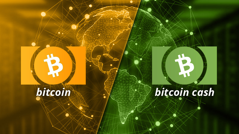 Bitcoin vs. Bitcoin Cash