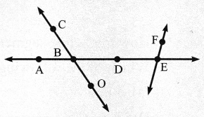 CBSE Class 6 Maths Basic Geometrical Ideas Worksheets 7