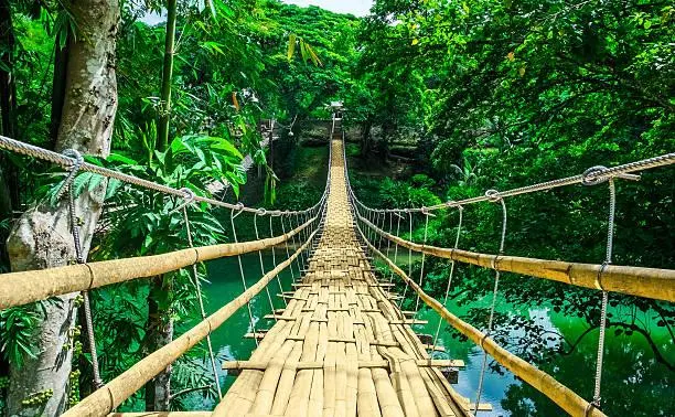 Breathtaking Scenery You Have to See to Believe, breathtaking scenery, amazing nature, nature, forest, landscape, surreal photos, real beauty