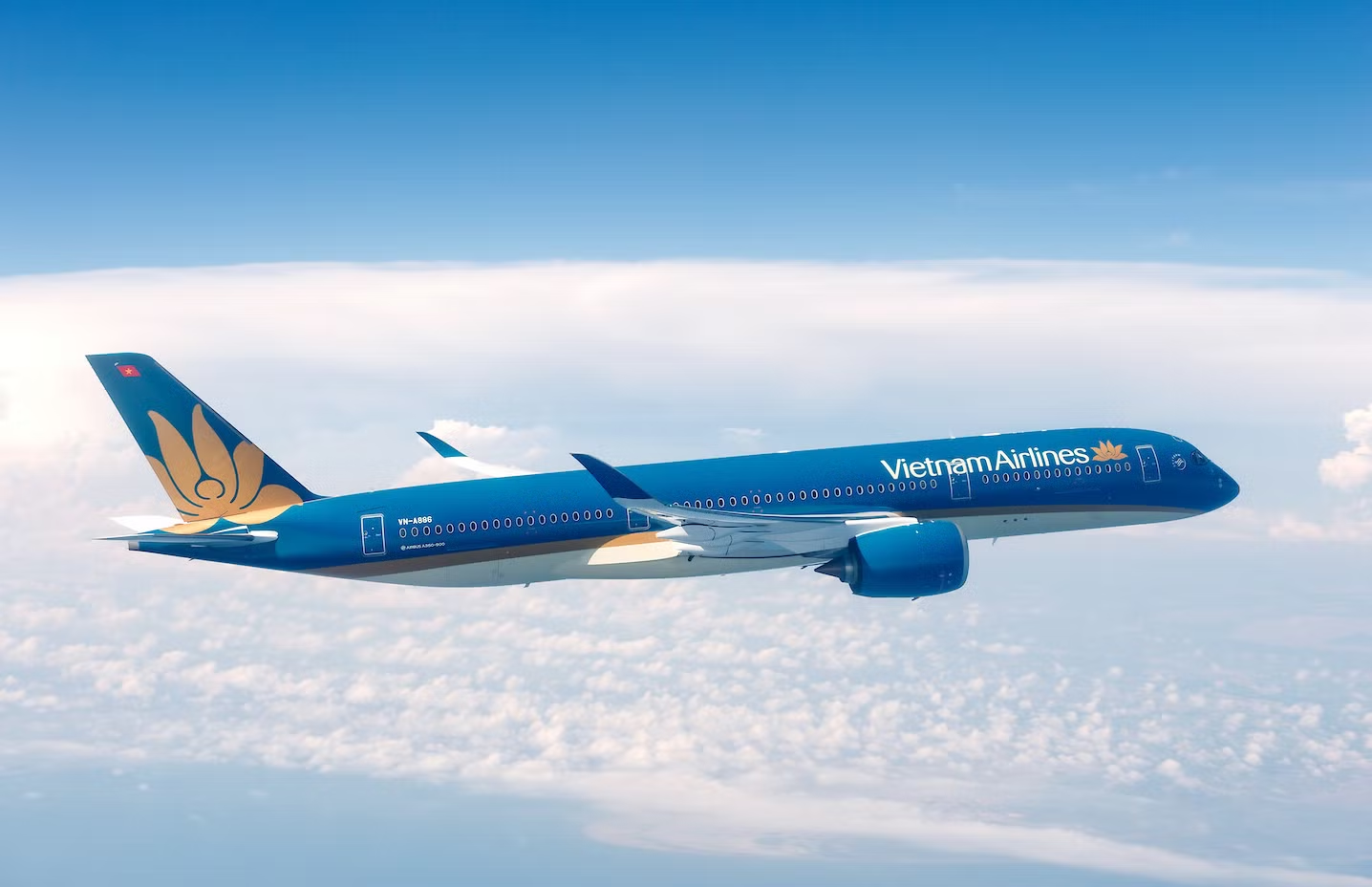Vietnam Airlines dẫn đầu cuộc đua “bay xanh” khi ngành hàng không bước vào kỷ nguyên tín chỉ carbon - 1