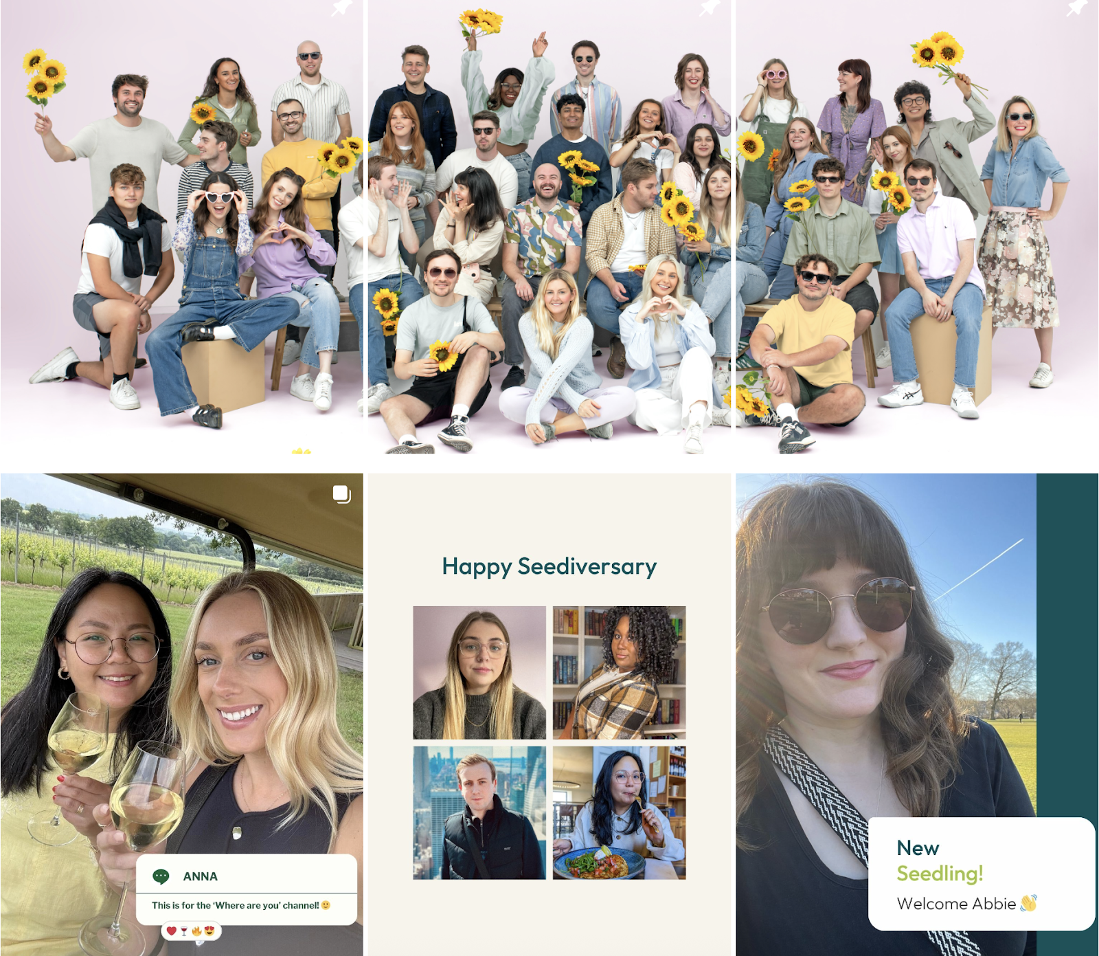seed-agency-instagram