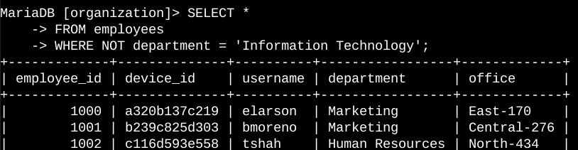 Screenshot of the command line with the SQL query for this task and its output