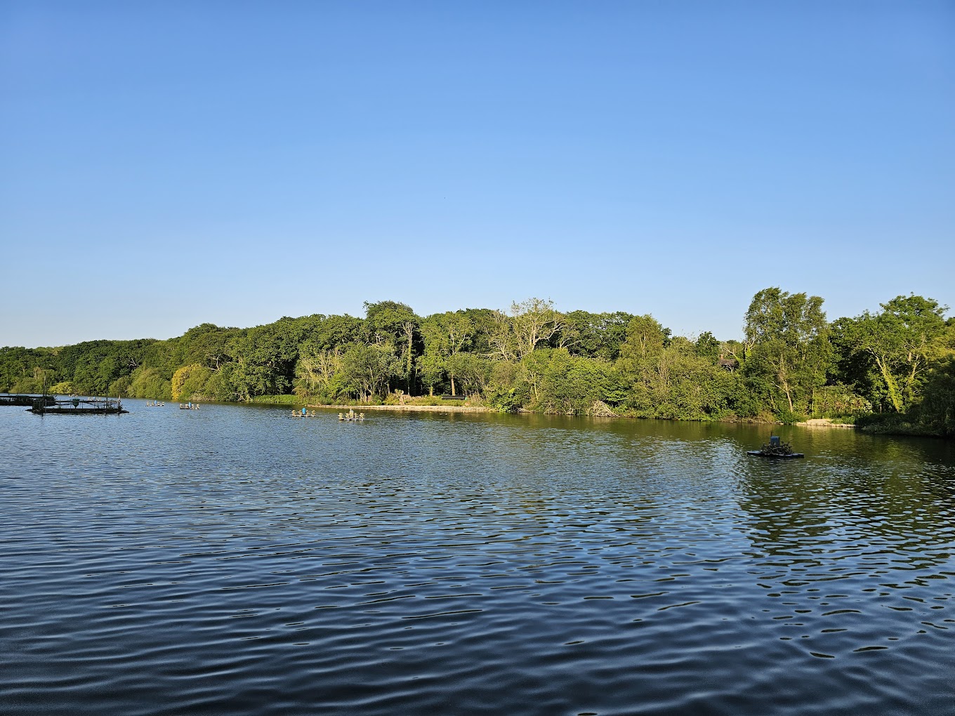 The Fishers Pond, Eastleigh view