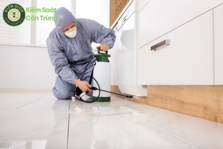 Xử lý côn trùng hiệu quả - Giải pháp an toàn cho gia đình và doanh nghiệp