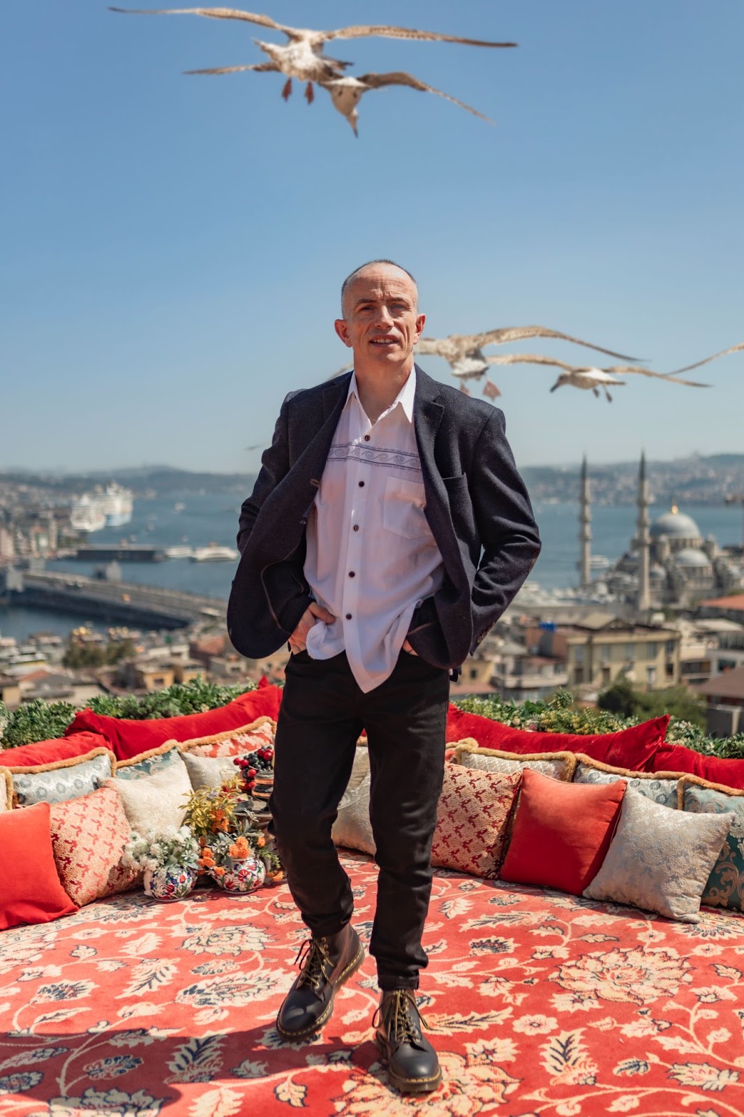 Above the city — rooftop views and seagulls in flight