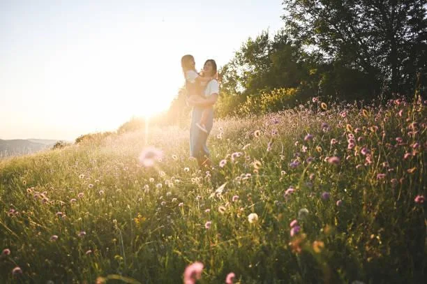 25 Rolling Fields Covered in Morning Dew, morning dew, rolling fields, nature, landscape, fresh grass, cool light