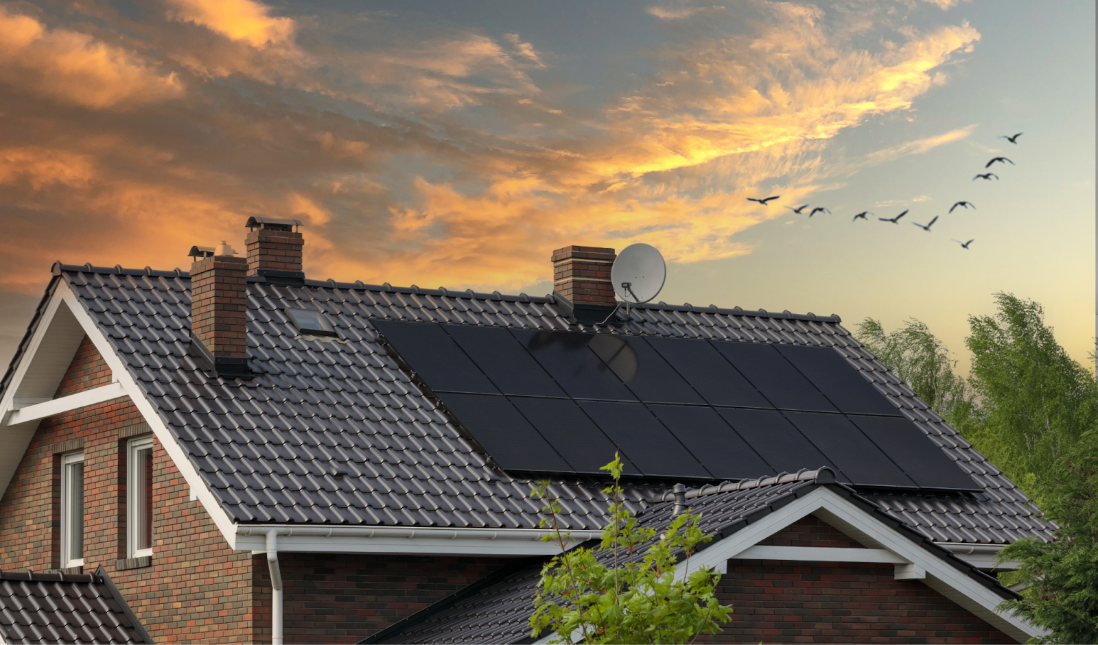 Solar panels on residential roof in Northern Ireland at sunset with birds flying overhead 