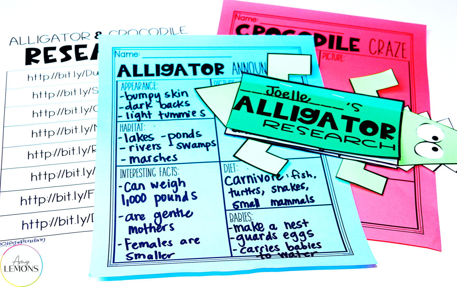 Alligator research links with research booklet and printable