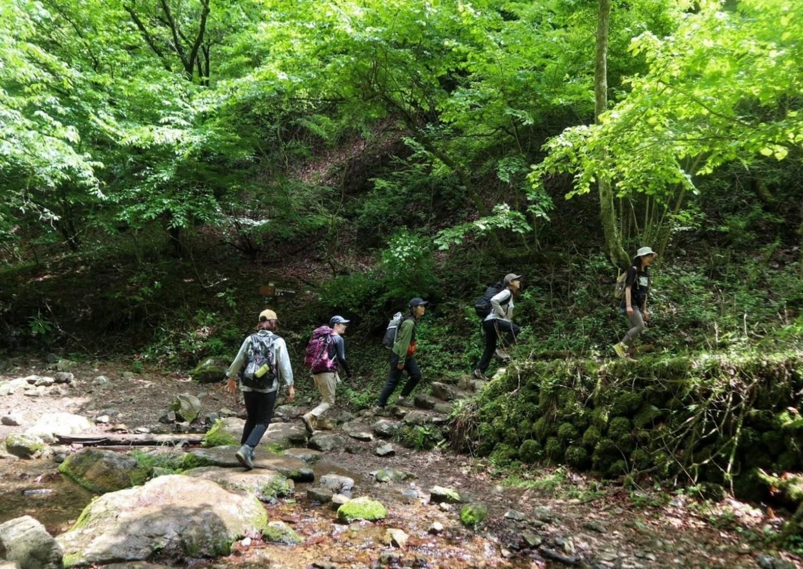 Mount Mitate