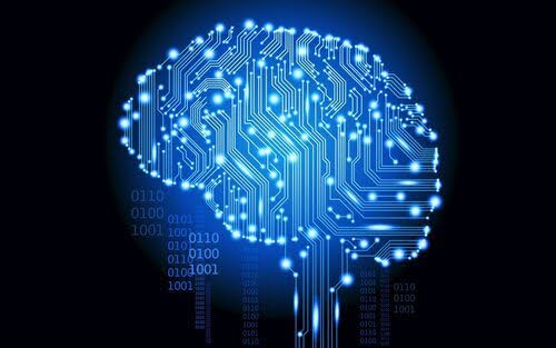 digital brain