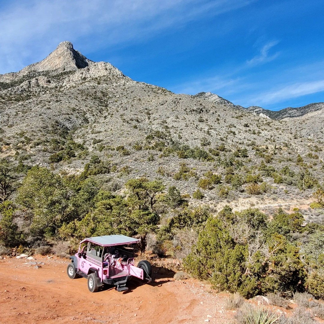 Pink Jeep Tour to Red Rock Canyon