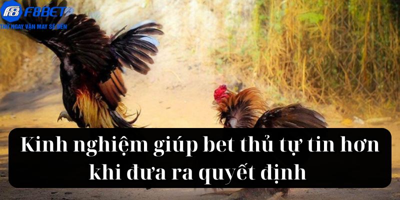 Kinh nghiệm giúp bet thủ tự tin hơn khi đưa ra quyết định 