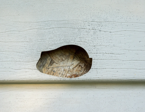 hole in Vinyl Siding on house