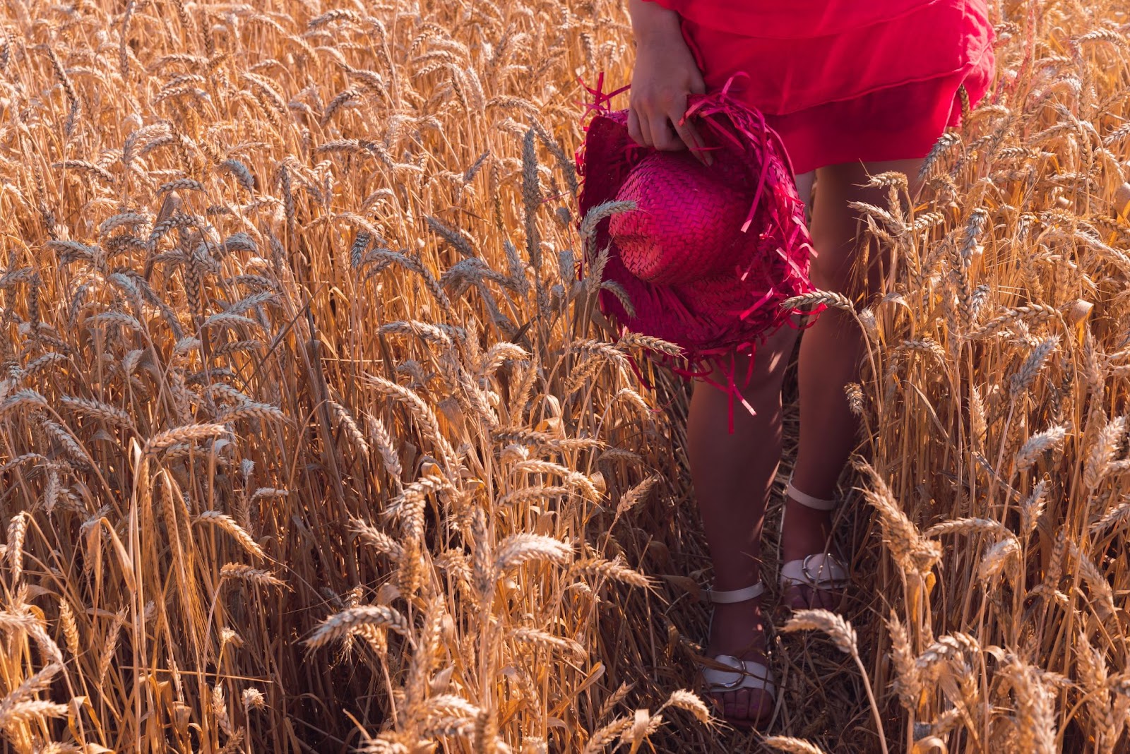 wheat farming land with red hat 