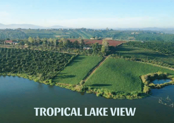 Đất nghỉ dưỡng Bảo Lộc. Tropical Lake View Bảo Lộc