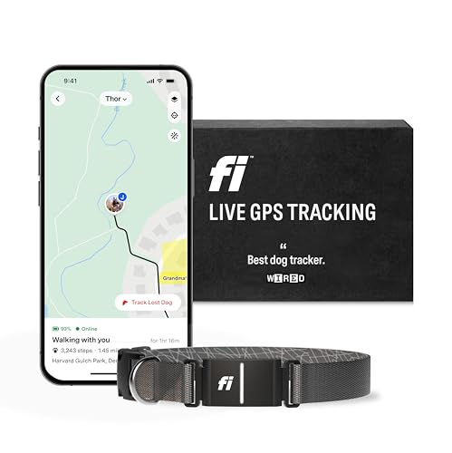 fi-series-3-smart-dog-collar-gps-tracker-activity-fitness-monitor-gray-large