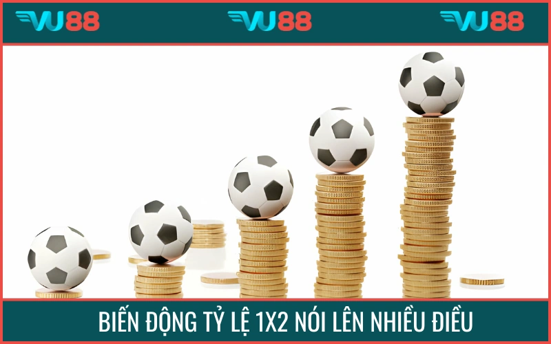 Biến động tỷ lệ mang tới nhiều thông tin