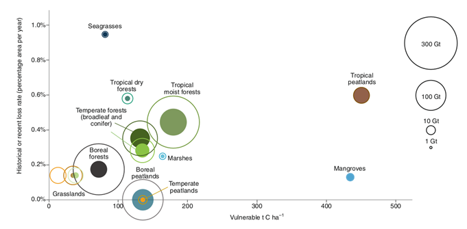 A diagram of different types of forest vegetation

Description automatically generated