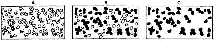Fig2.GIF