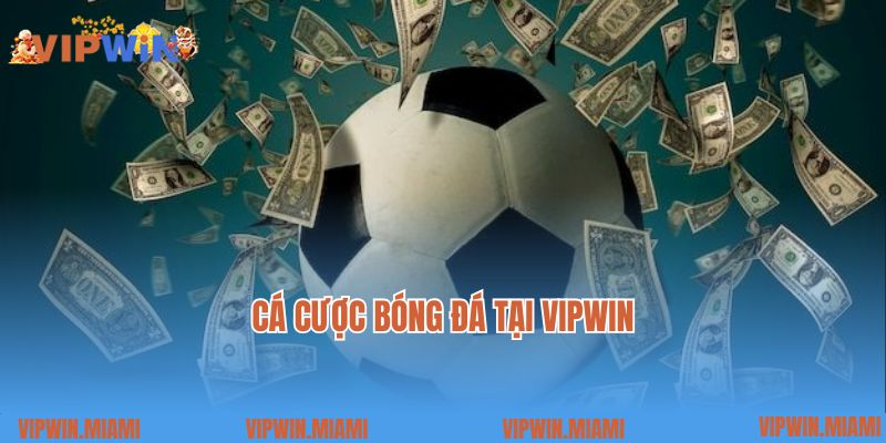 Cách đọc kèo bóng đá vipwin chính xác