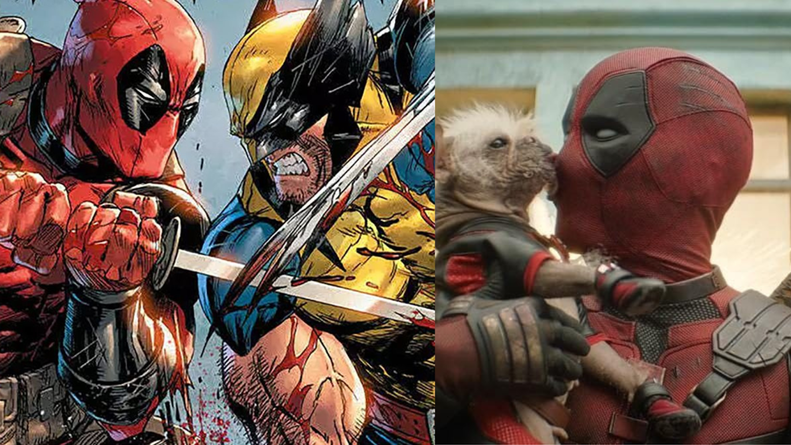 Watch Deadpool & Wolverine Online