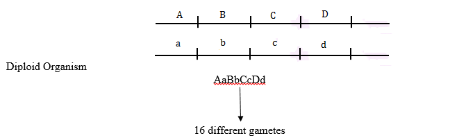 NCERT Solutions For Class 12 Biology Chapter 5-1