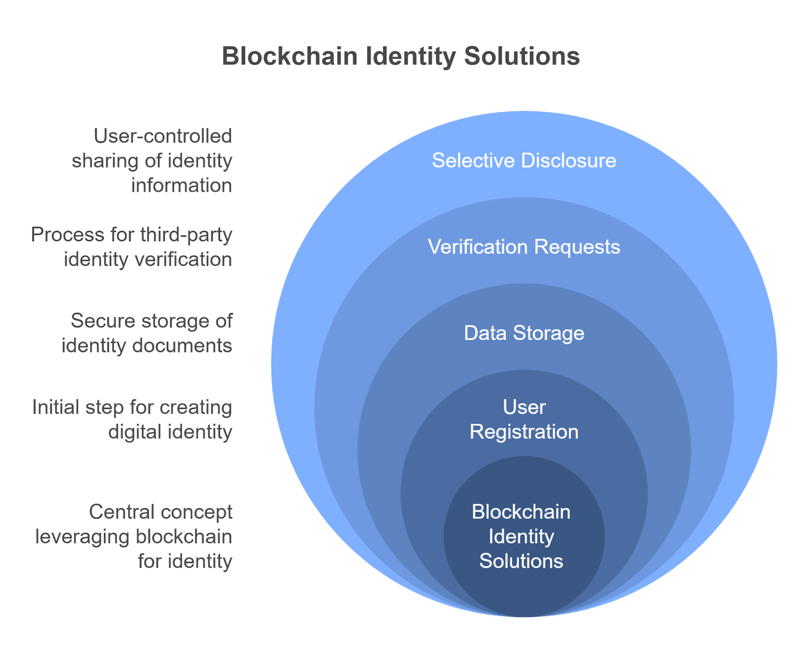 Overview of Blockchain Identity Solutions