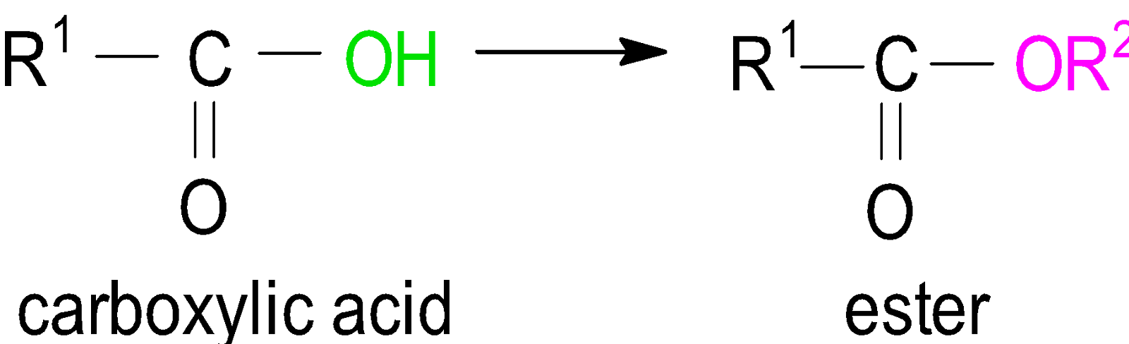 A. MỤC TIÊU CẦN ĐẠT CỦA BÀI HỌC- Nêu được khái niệm về lipid, chất béo, acid béo, đặc điểm cấu tạo phân tử ester.- Viết được công thức cấu tạo và gọi tên một số ester đơn giản (số nguyên tử C trong phân tử ≤ 5) và thường gặp.- Trình bày được đặc điểm về tính chất vật lí và tính chất hoá học cơ bản của ester (phản ứng thuỷ phân) và của chất béo (phản ứng hydrogen hoá chất béo lỏng, phản ứng oxi hoá chất béo bởi oxygen không khí).- Trình bày được phương pháp điều chế ester và ứng dụng của một số ester.- Trình bày được ứng dụng của chất béo và acid béo (omega – 3 và omega – 6).B. NHỮNG NỘI DUNG CẦN ĐẠT CỦA BÀI HỌC