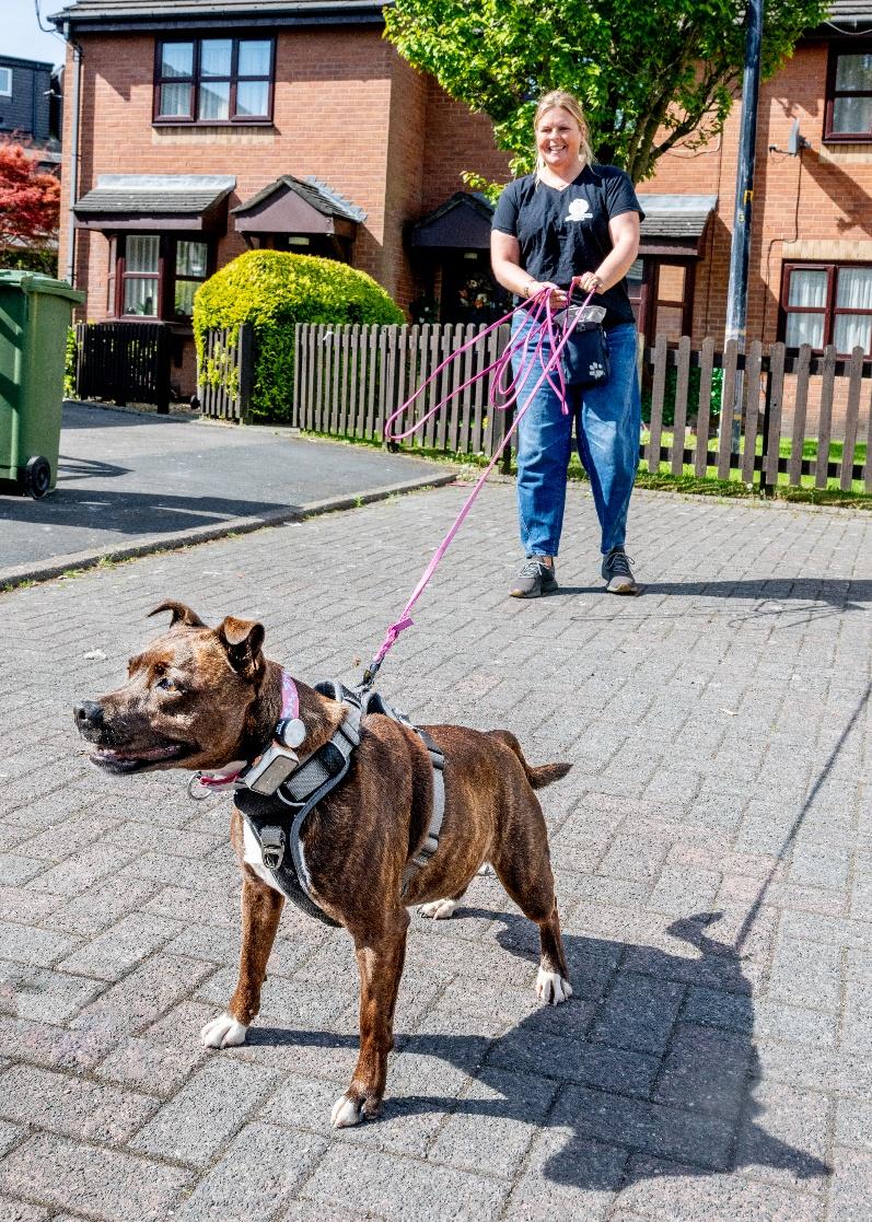 A person walking a dog on a leash

AI-generated content may be incorrect.