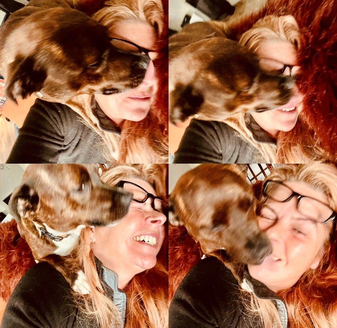 Marilyn and Scout, the not so professional shot..