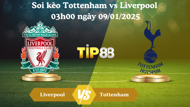 Soi kèo Tottenham vs Liverpool 03h00 ngày 09/01/2025