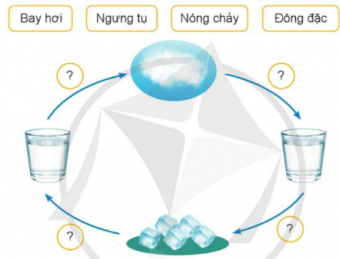 BÀI 2. SỰ CHUYỂN THỂ CỦA NƯỚC