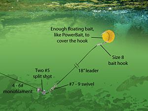 Trout Fishing Basics: Master the Art of Catching Your First Trout