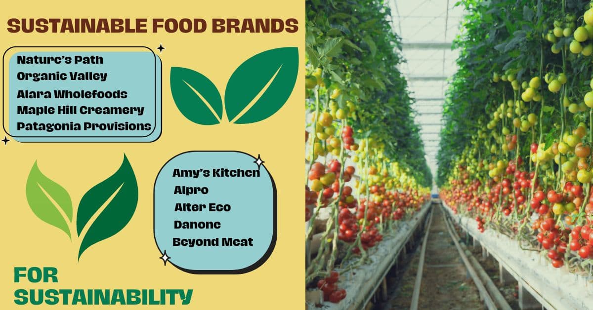 The image highlighting top sustainable food brands, such as Nature’s Path and Beyond Meat, alongside a greenhouse of fresh tomatoes, emphasizing eco-friendly eating and supporting the article on the best sustainable food brands