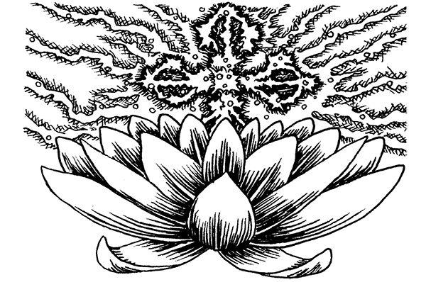 Magick%20EW%20fig%206.tif