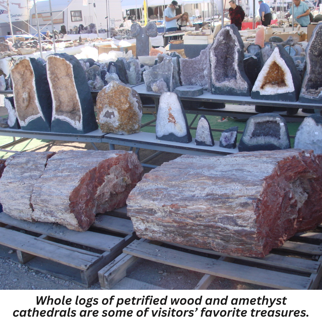 Whole logs of petrified wood and amethyst cathedrals are some of visitors’ favorite treasures 