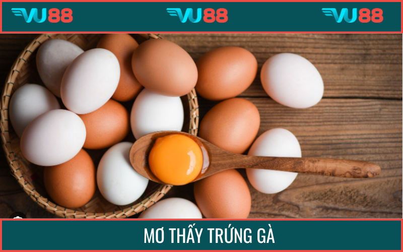 Mộng thấy trứng gà báo hiệu về sự khởi đầu mới