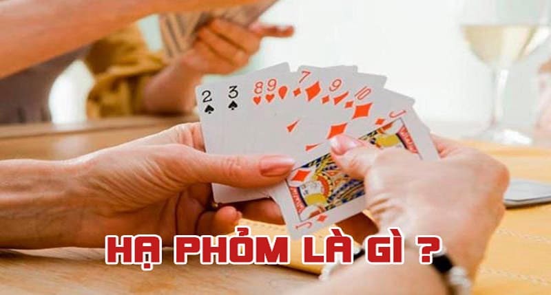 Hạ phỏm là gì? Bật mí một vài cách chơi cho cược thủ