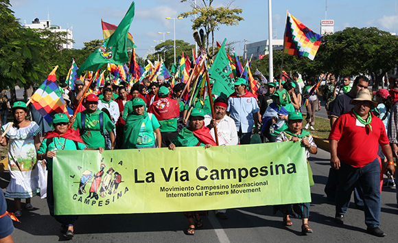 via campesina.jpg