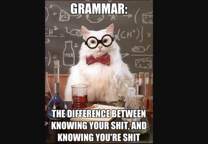 A meme of a white cat wearing glasses and a bow tie in a science lab with the text: "GRAMMAR: The difference between knowing your shit, and knowing you're shit."