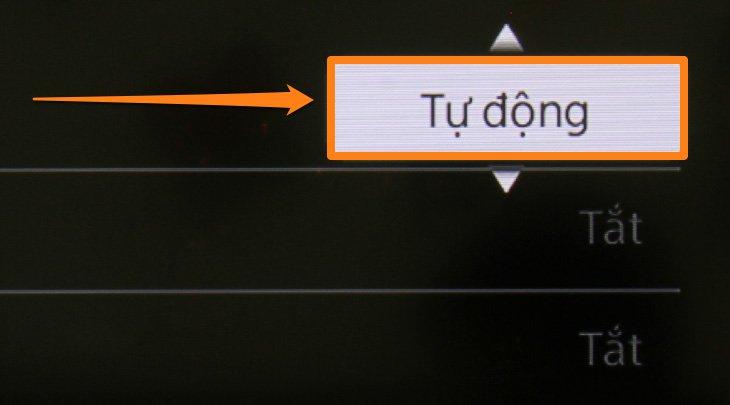 Chọn Tự động