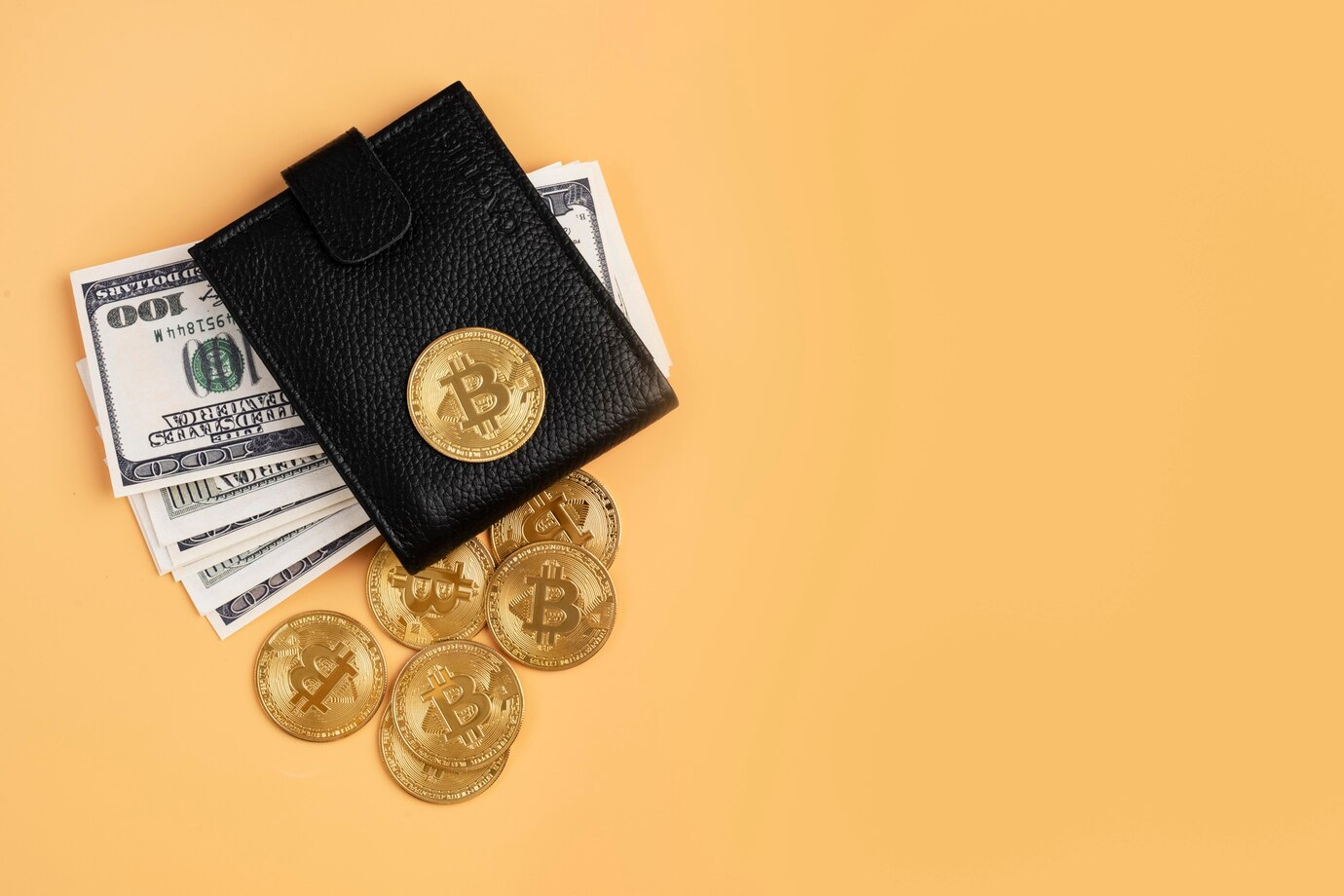 Wallet with Bitcoin and hundred-dollar bills