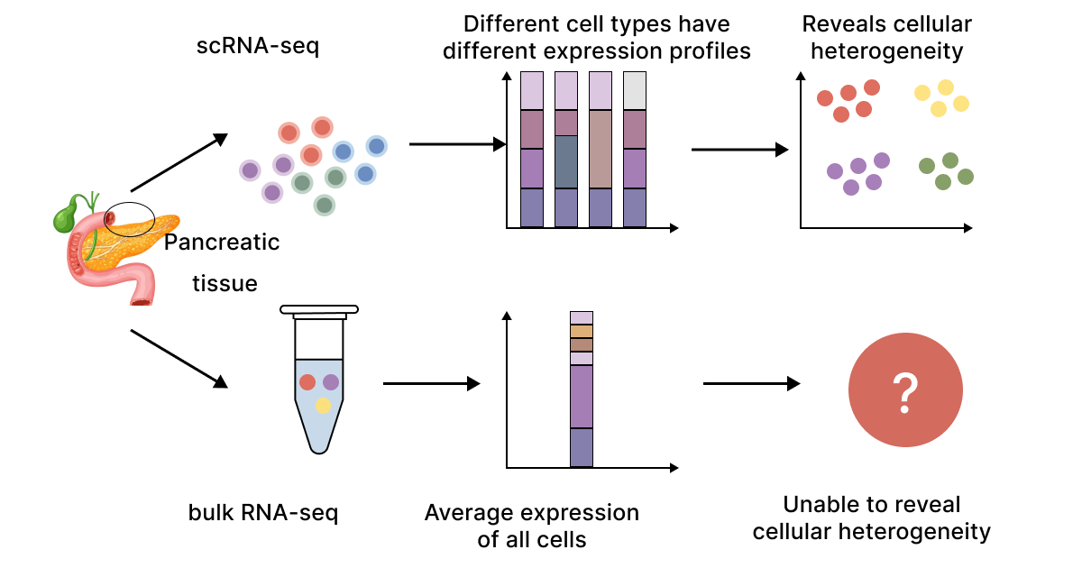  Cellular Heterogeneity Masking 
