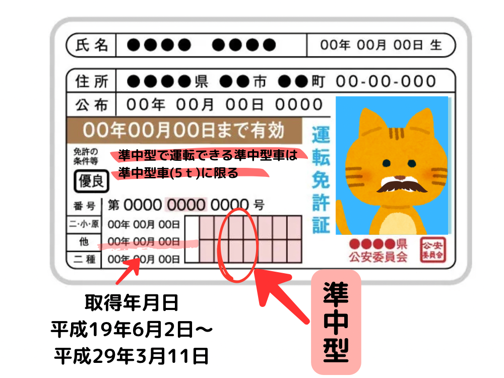 準中型免許